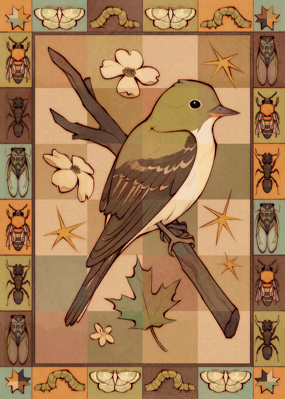 Acadian Flycatcher