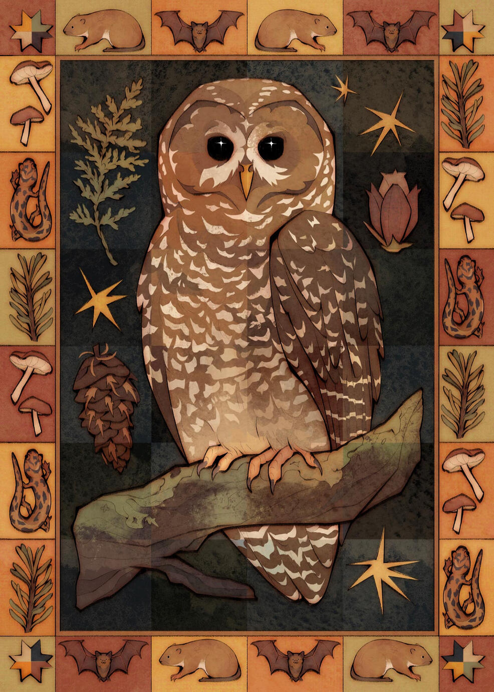Northern Spotted Owl