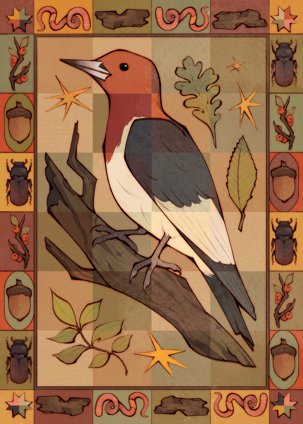 Red-headed Woodpecker