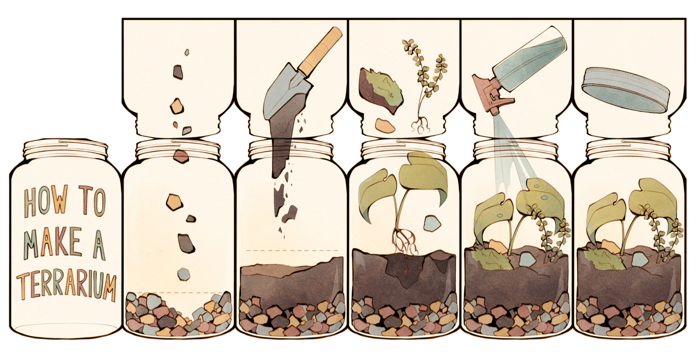 How to Make a Terrarium - Booklet